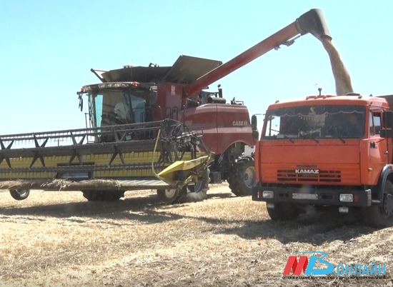 В Волгоградской области убрали 90 % зерновых